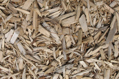 biomass boilers Cutsdean
